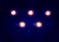 news icon r