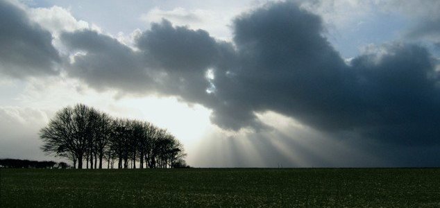 news-clouds-trees.jpg