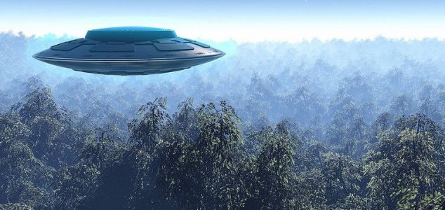 news-ufo-woods.jpg