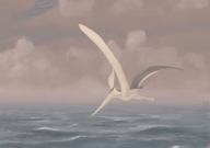 pterosaur2.jpg