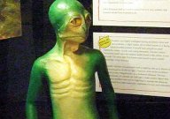Reptoid