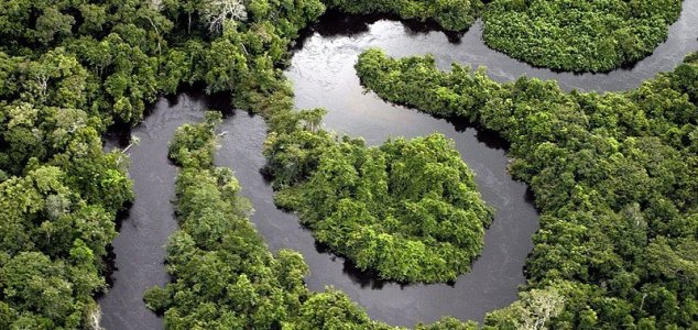 Amazon rainforest could turn into grasslands News-amazon-river