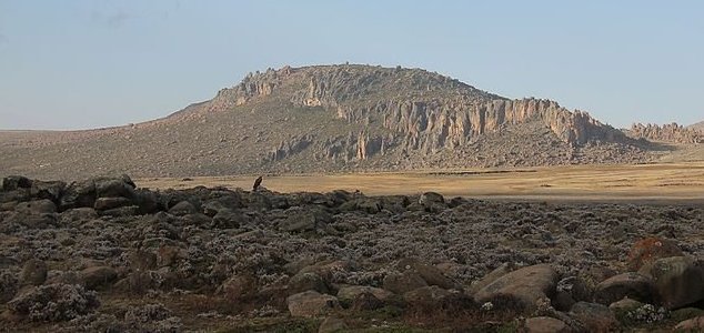 Earliest evidence of human mountaineers found News-bale-mountains