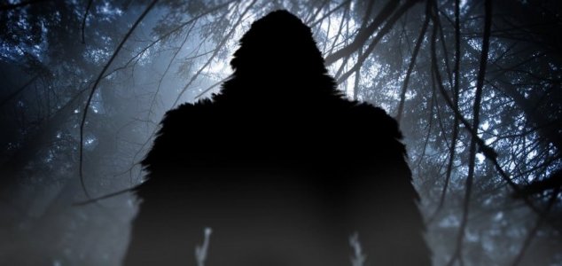 'Bigfoot' stories abound in upstate New York, USA. News-bigfoot-shadow