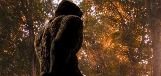 Yowie researcher recalls his first encounter News-bigfoot-woods-3