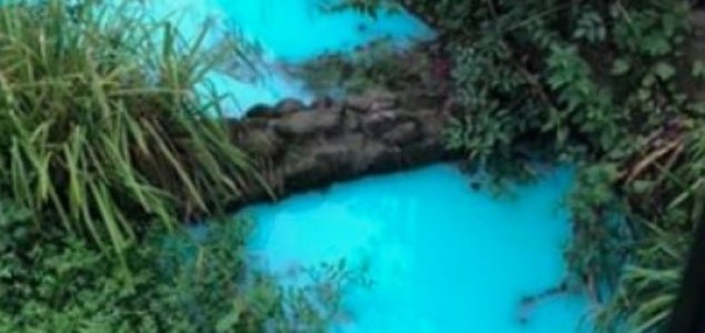 'Pollution incident' turns river bright blue News-blue-water