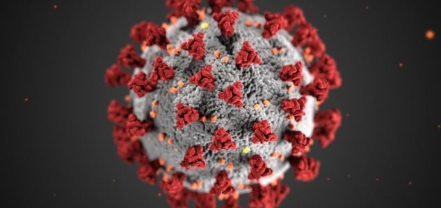 Why are conspiracies thriving in the pandemic? News-coronavirus