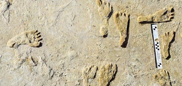 Oldest human footprints in North America found News-footprints-white-sands