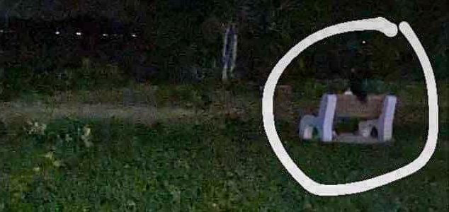 'Ghost' photographed on bench in haunted park News-ghost-bench