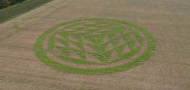 Crop circle appears bright green in autumn field News-green-crop-circle