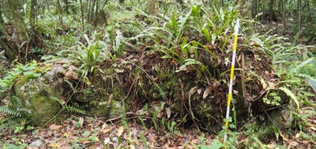 Previously unknown structures found near Machu Picchu News-inca-structure