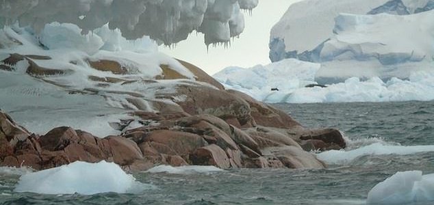 Whole new island discovered in Antarctica News-island-antarctica