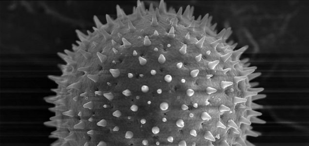 New super-powerful microscope unveiled - Unexplained Mysteries