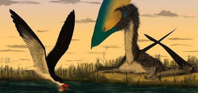 large pterosaur