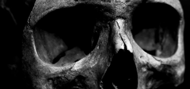 New sections of 'tower of skulls' discovered News-skull-bw