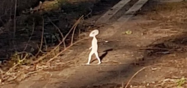https://www.unexplained-mysteries.com/images/news_large/news-small-humanoid.jpg