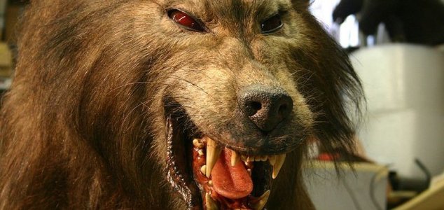 Spate of 'werewolf' sightings reported in Mexico News-werewolf