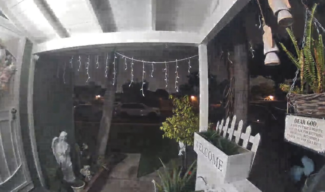 Alien on doorbell cam
