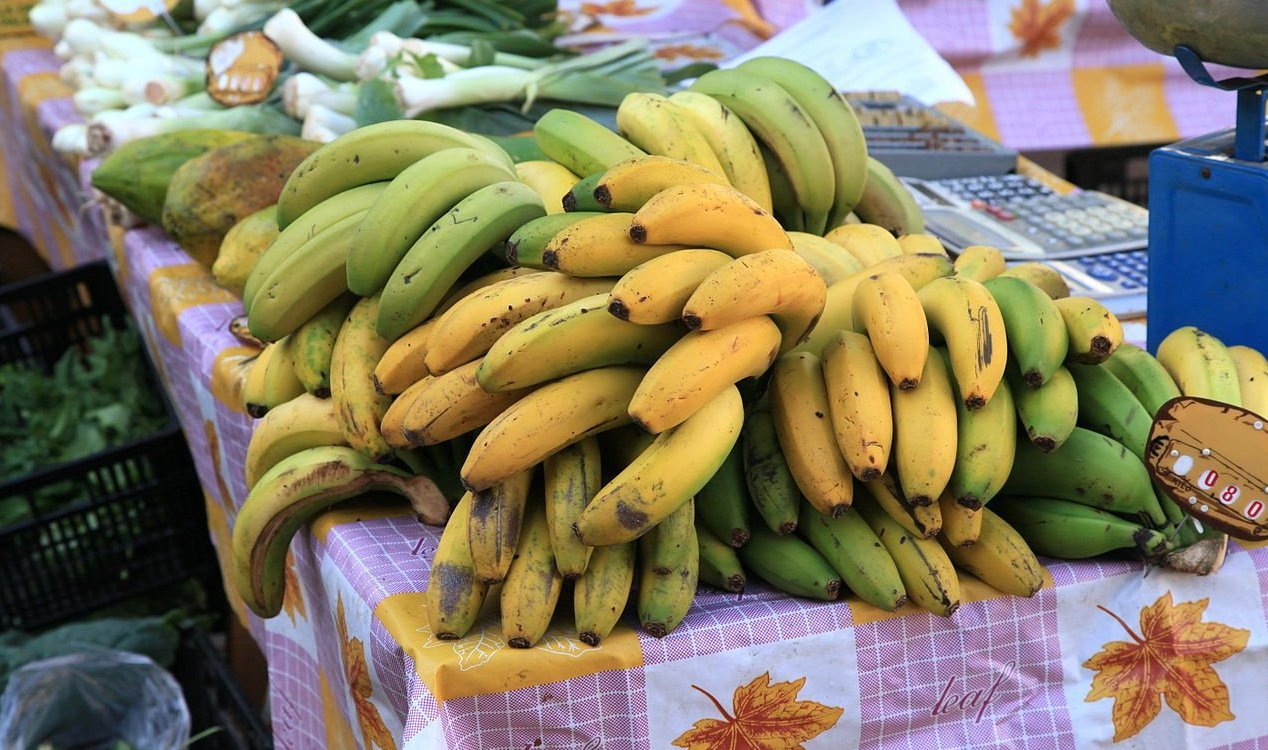 Bananas