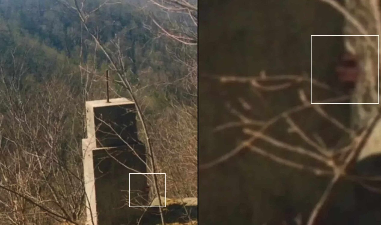 Possible Bigfoot hand