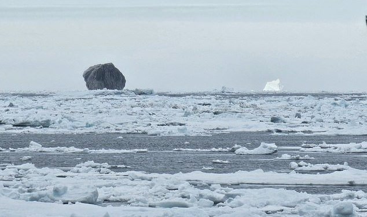 Black iceberg
