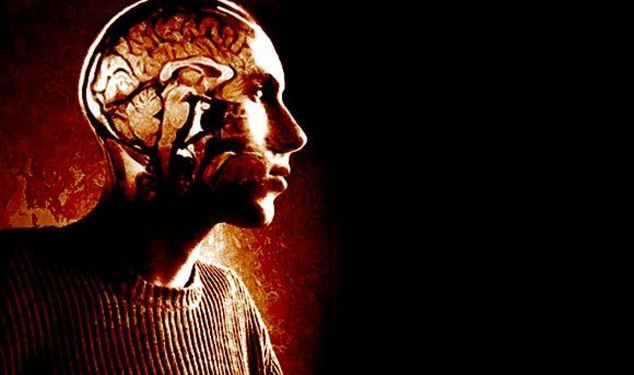 The human brain visible through a man's head.