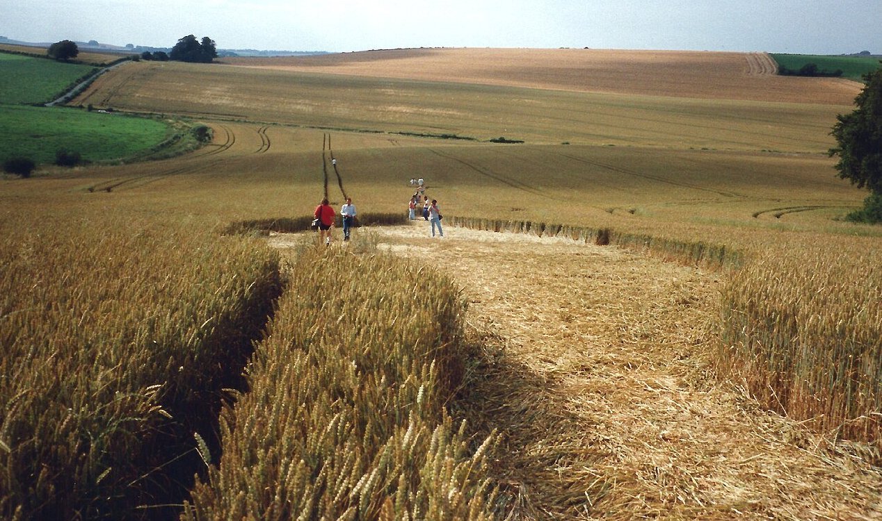 Crop circle