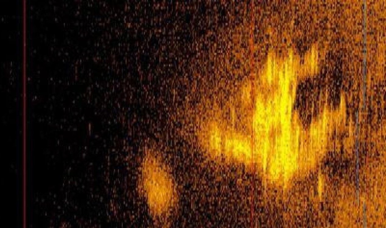 Potential sonar image of the plane flown by Amelia Earhart.