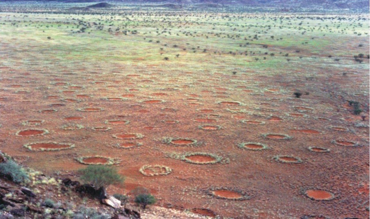 Aboriginal knowledge upends debate on mysterious fairy circles News-hq-fairy-circles