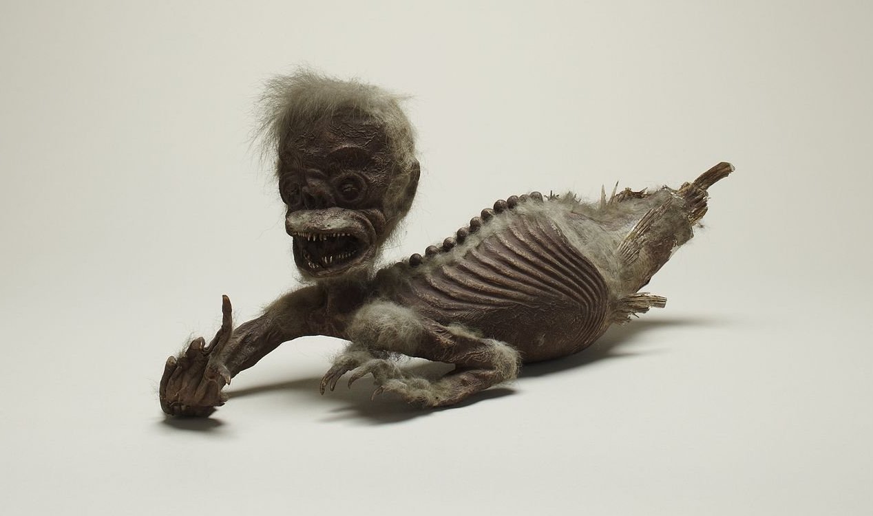 Museum exhibit of the Fiji Mermaid.