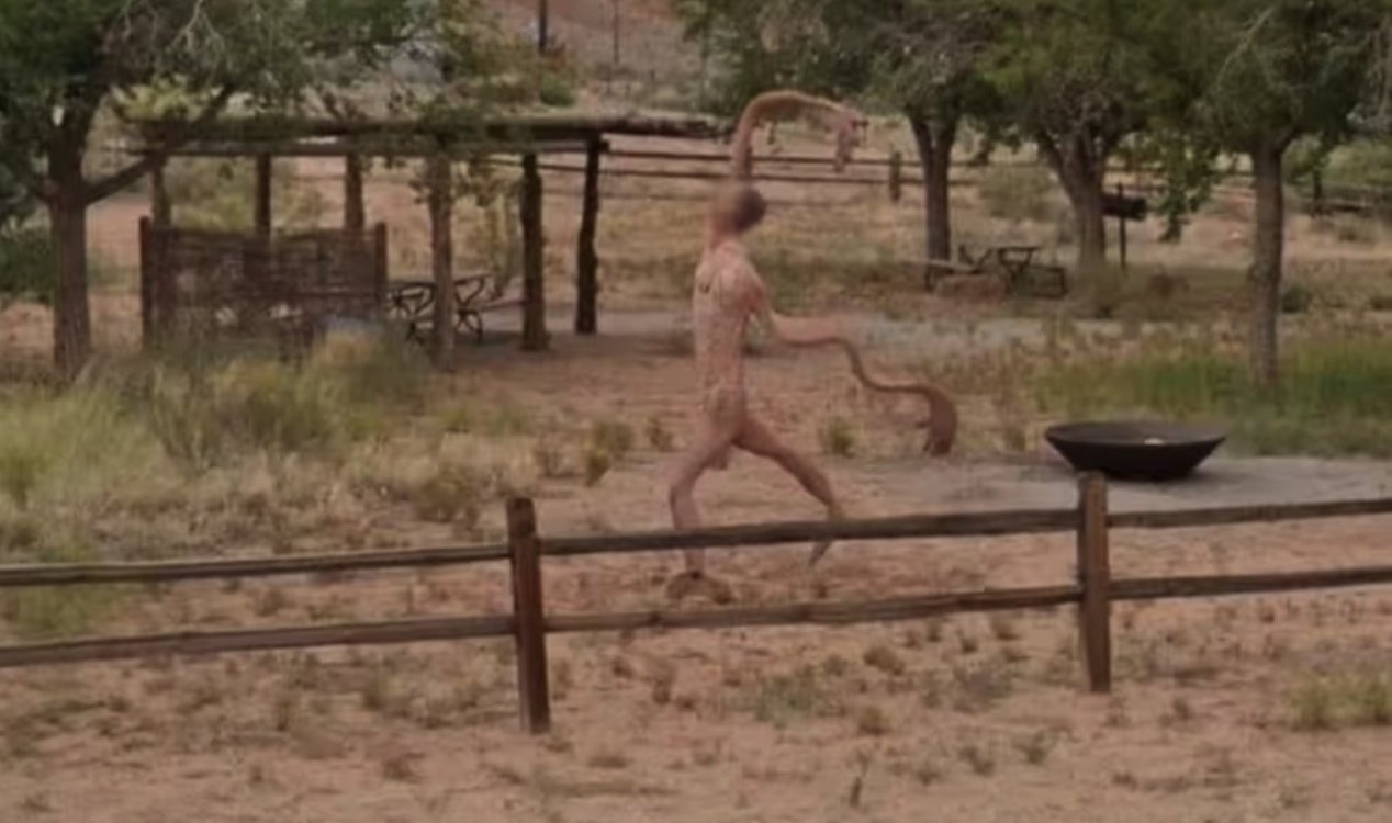 Strange figure found on Google Street View.