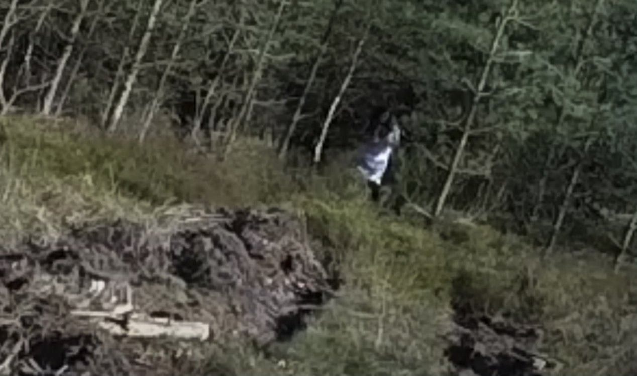 An alleged ghost at Cannock Chase.