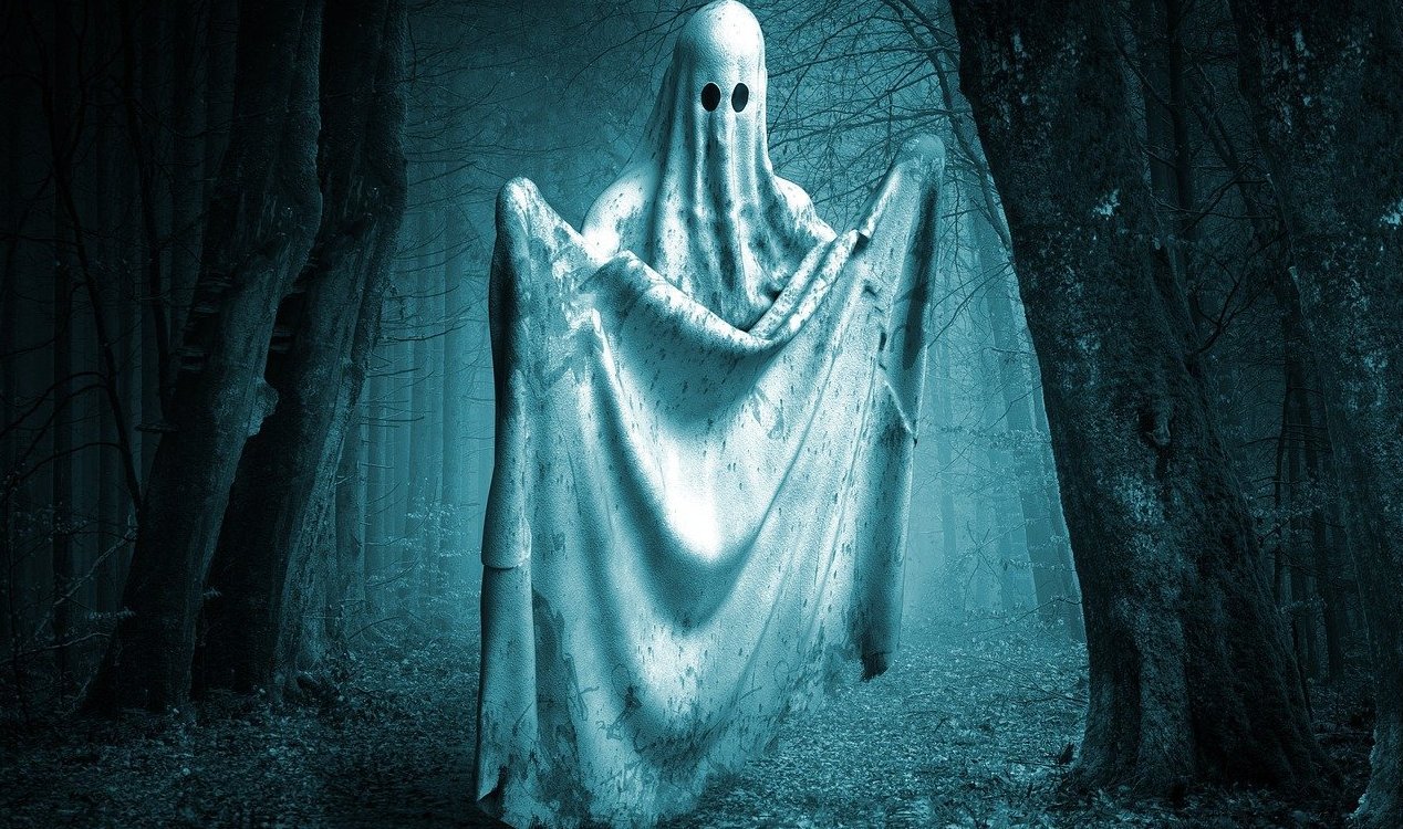 A ghost in the woods.