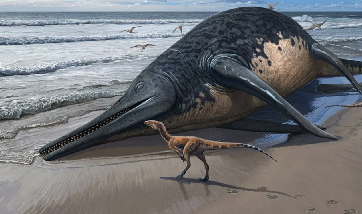Giant Ichthyosaur