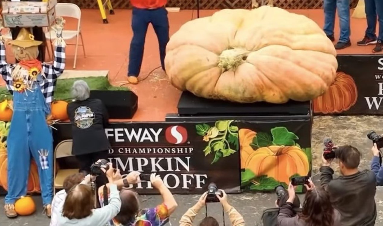 World's heaviest pumpkin.