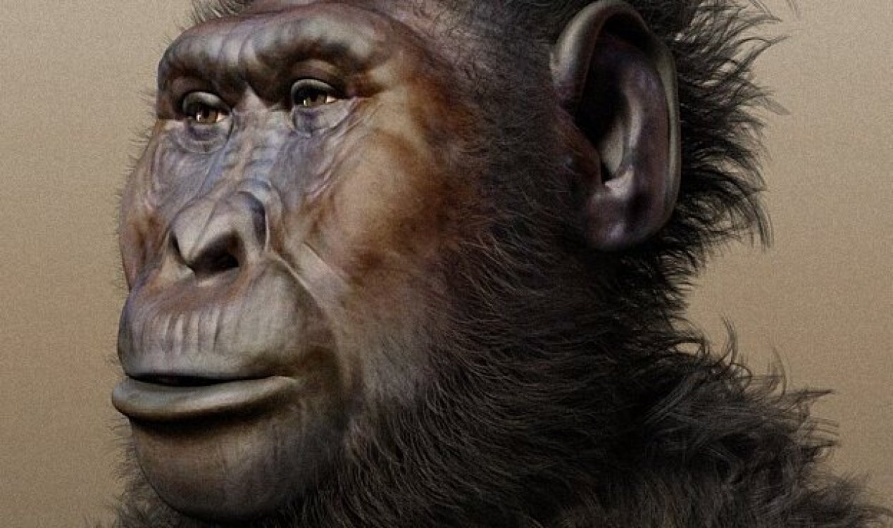 Paranthropus Boisei