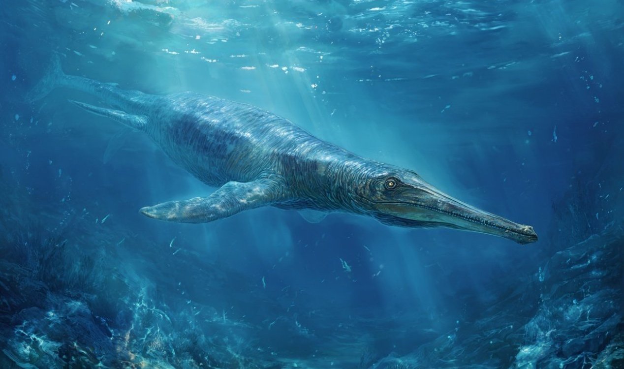 Icthyosaur