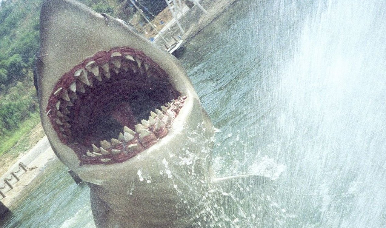 Jaws