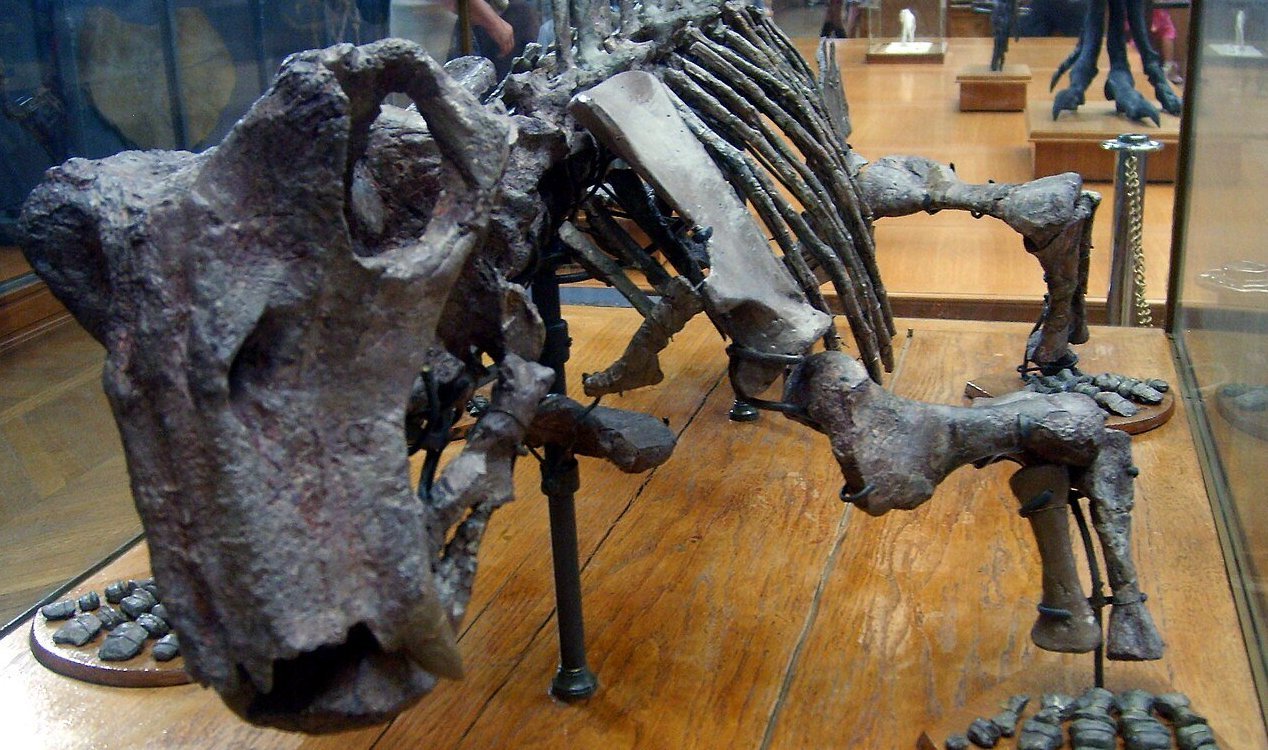 Lystrosaurus