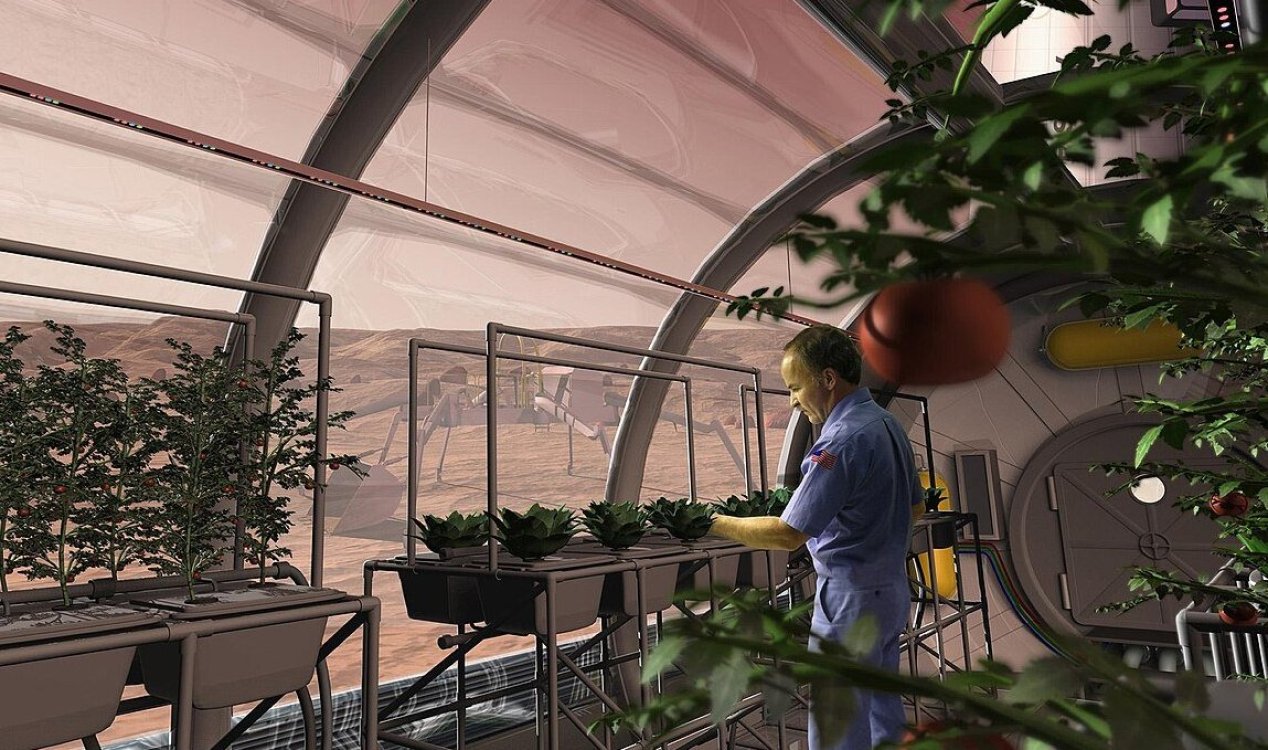 Mars Greenhouse