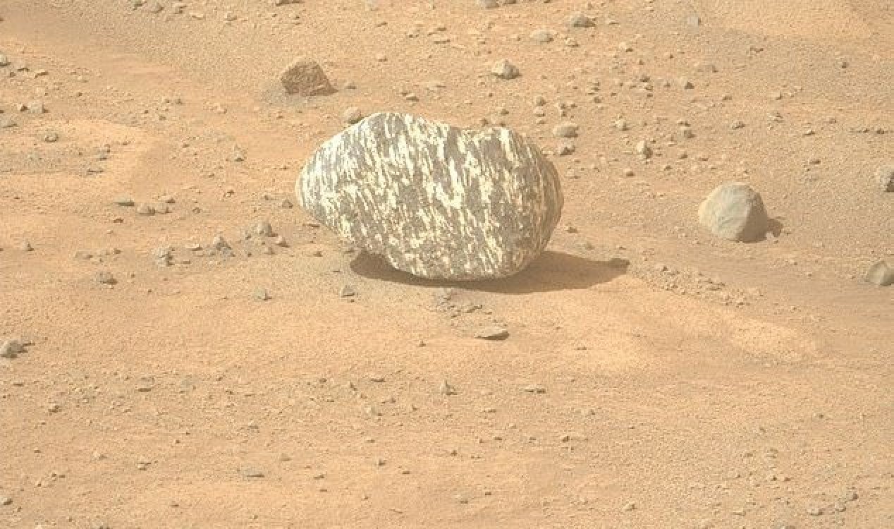 Mars zebra rock