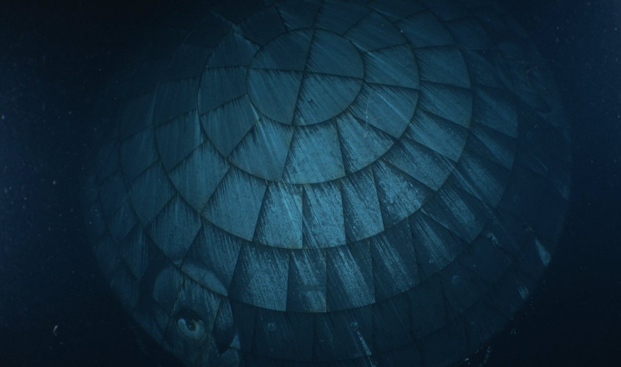 Artemis II heat shield