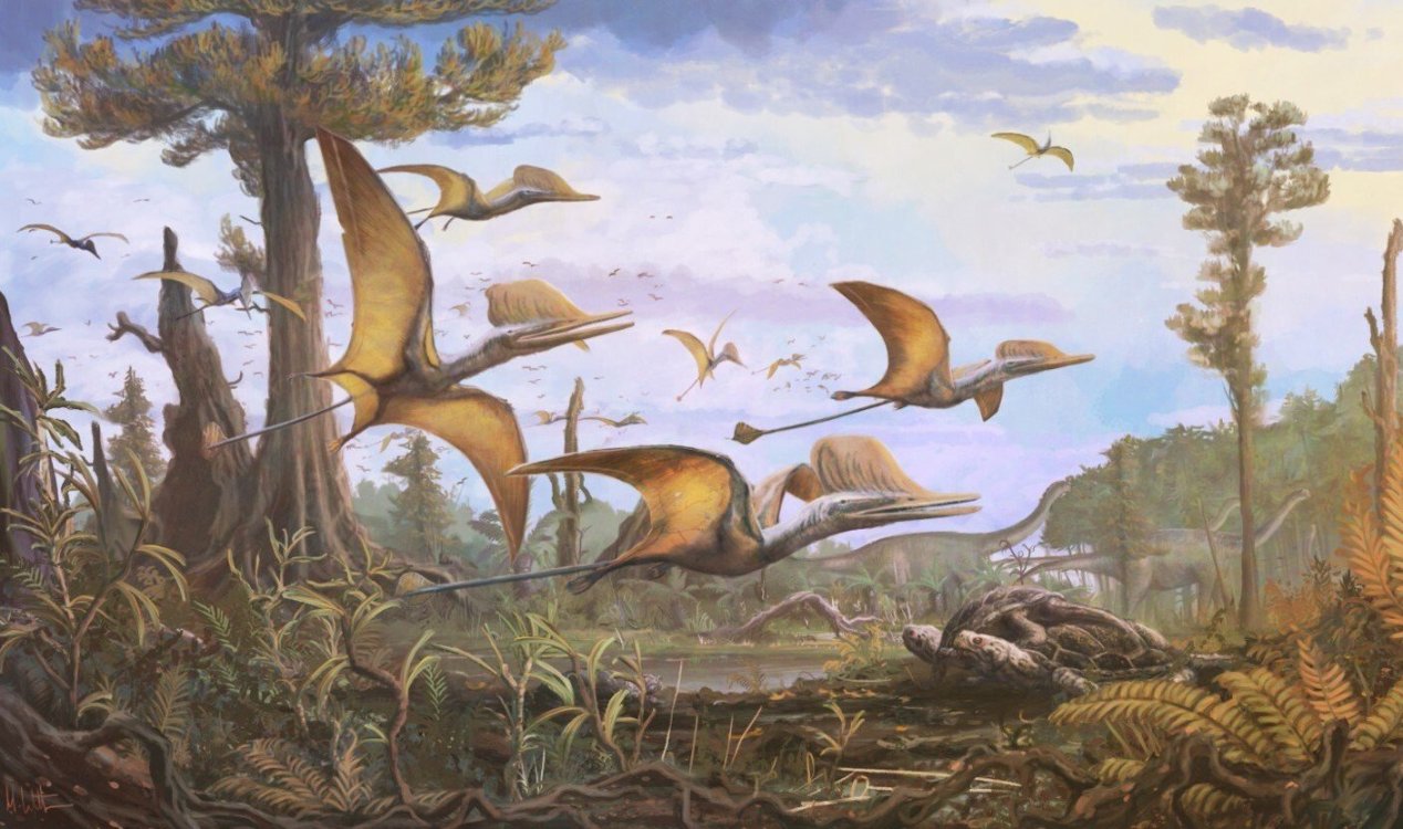 New pterosaur found on Isle of Skye.