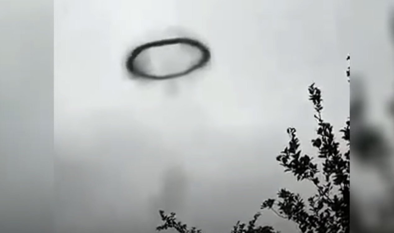 Mosquito ring in Argentina.