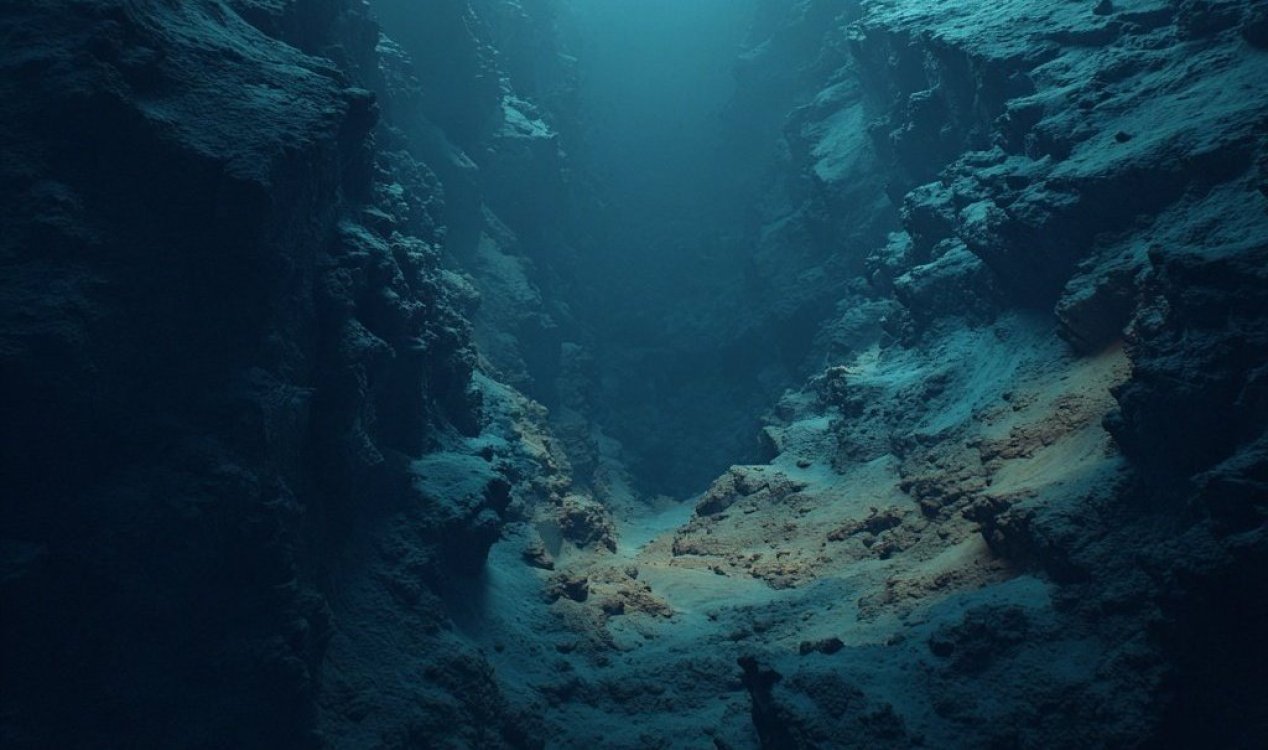Sea floor
