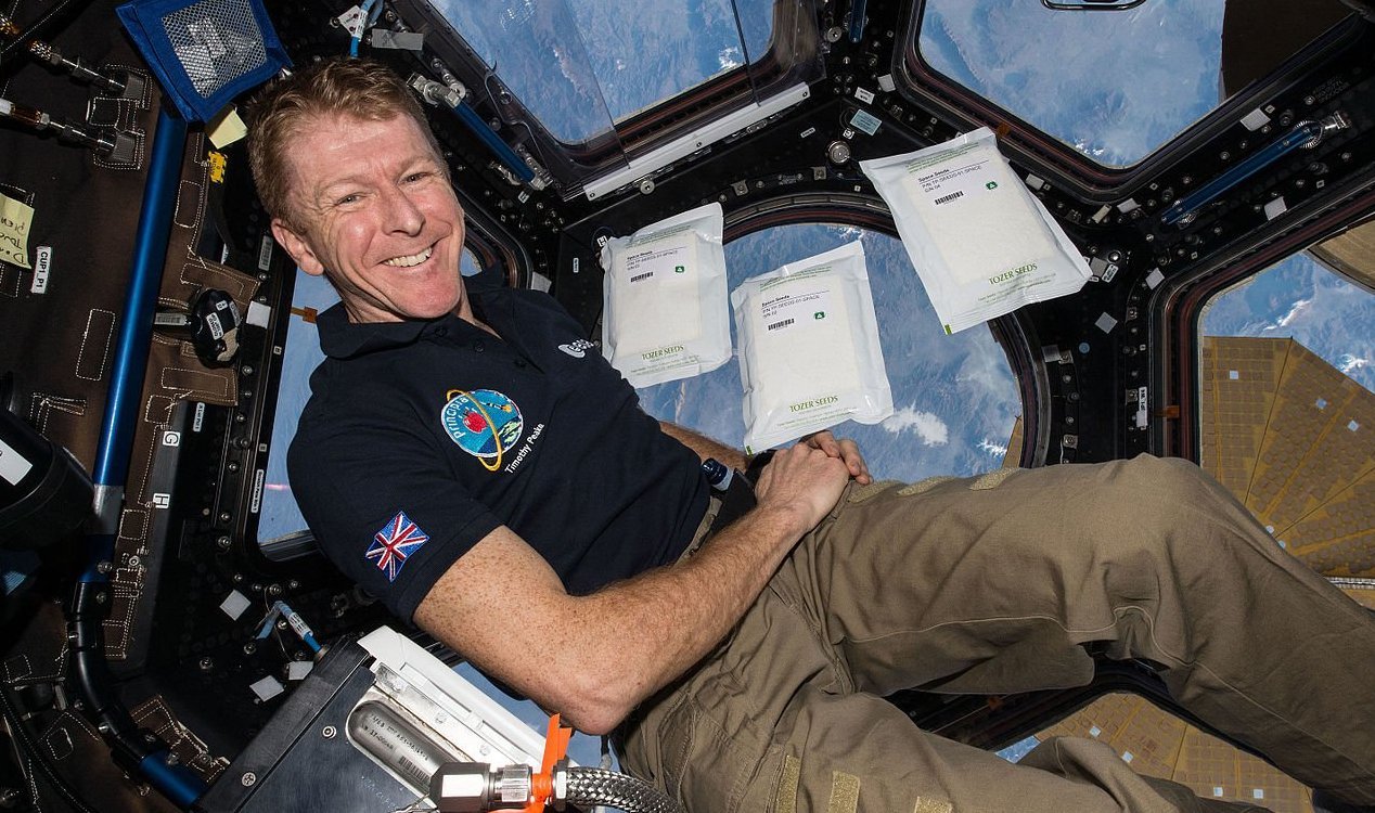 Tim Peake
