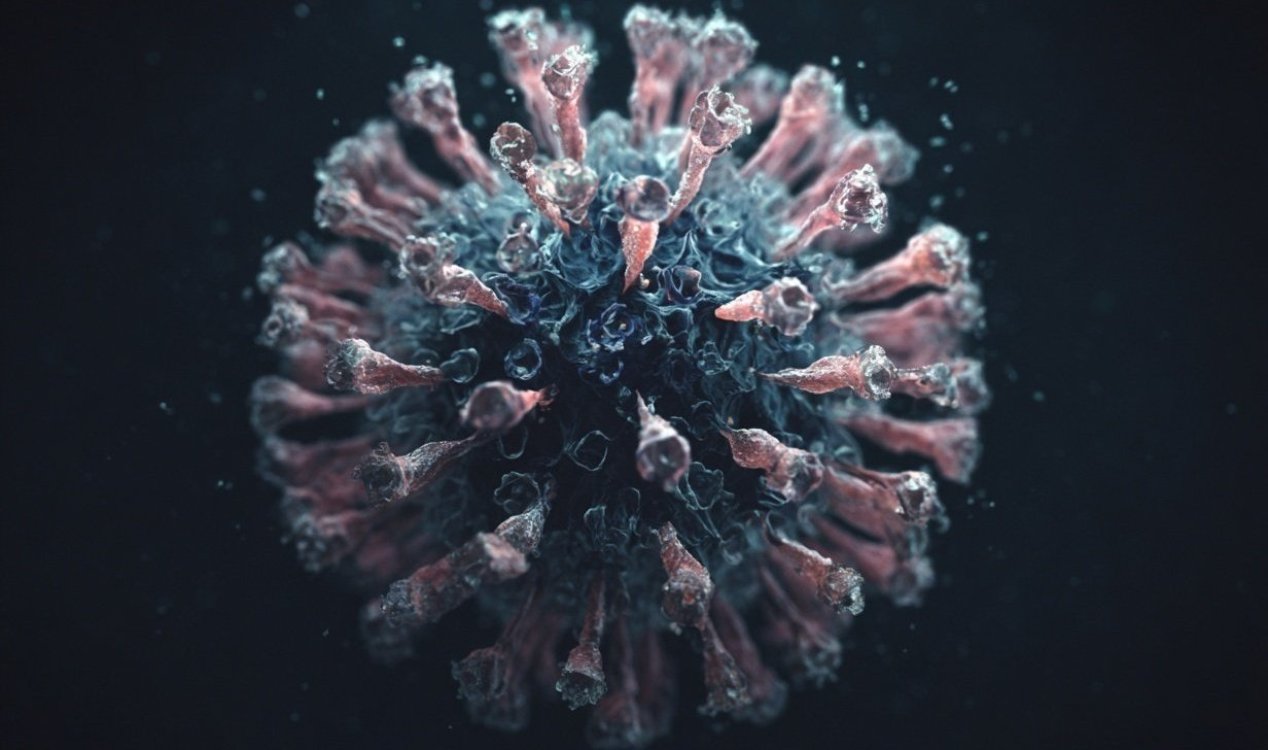 Virus