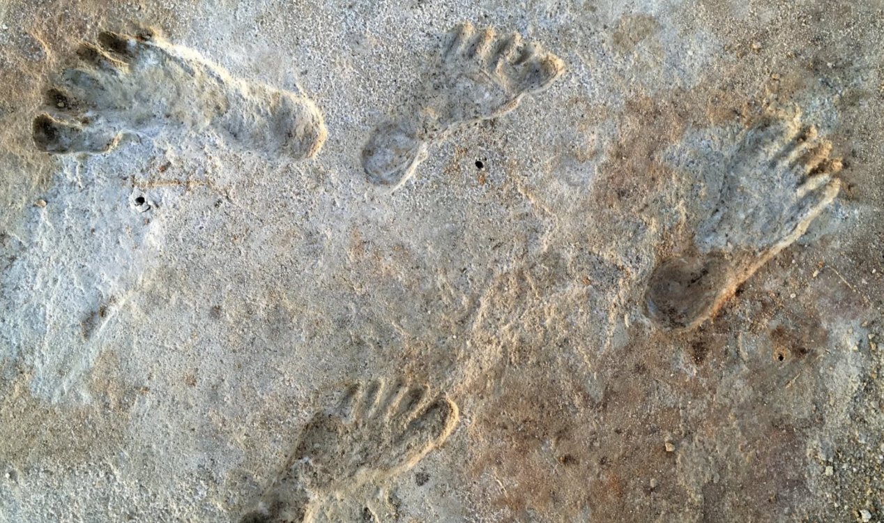 Ancient human footprints at White Sands National Park.