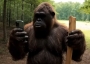 Bigfoot vlog