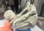 Alleged alien mummy from Peru.
